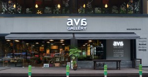 ava gallery